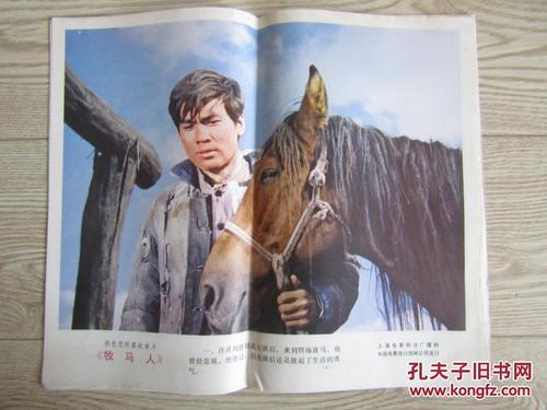 甲南大学学士毕业证